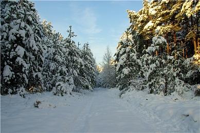 拯救被美女怪兽偷走的老公《淑女大冒险》将登陆主机